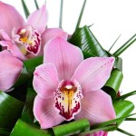 Букет «Волшебная орхидея»