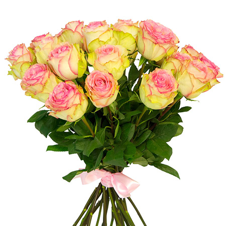 25 розовых роз «Сперансе»