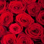 Композиция «Сердце из 25 красных роз»