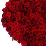 Сердце «145 красных роз»